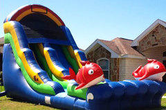 Water Slides Water Slides