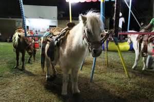Ponies Ponies